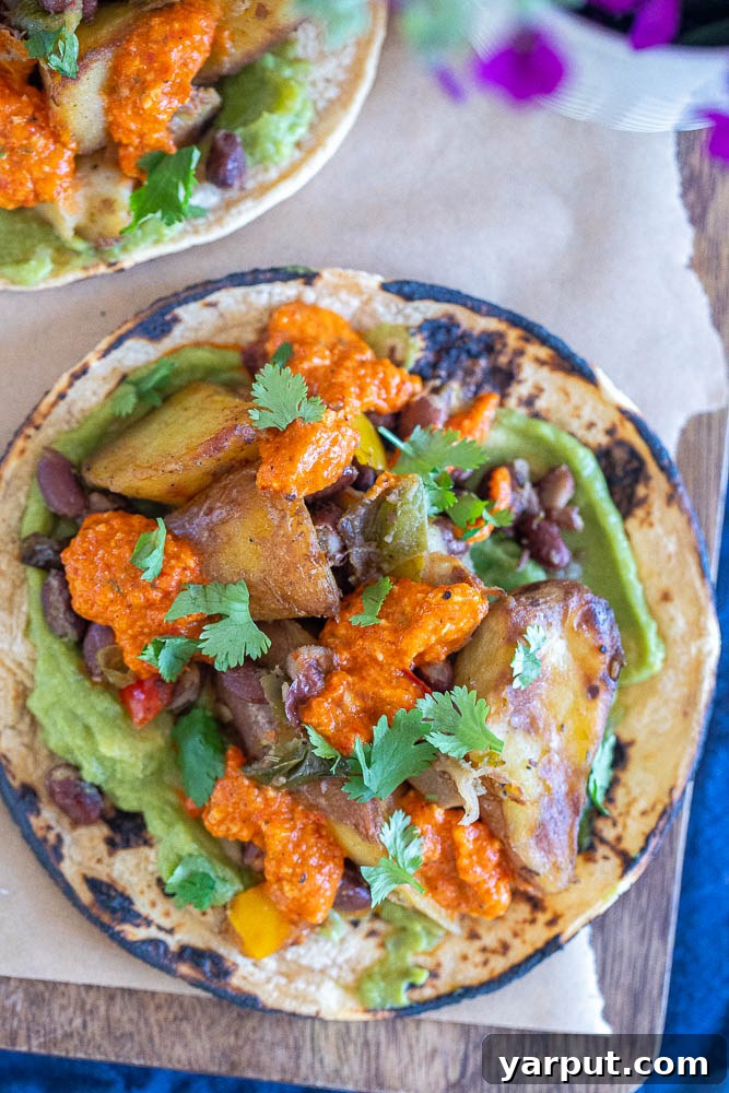 Spicy Potato Tacos with Black Beans, a flavorful and filling vegetarian taco option garnished with avocado and red onion.