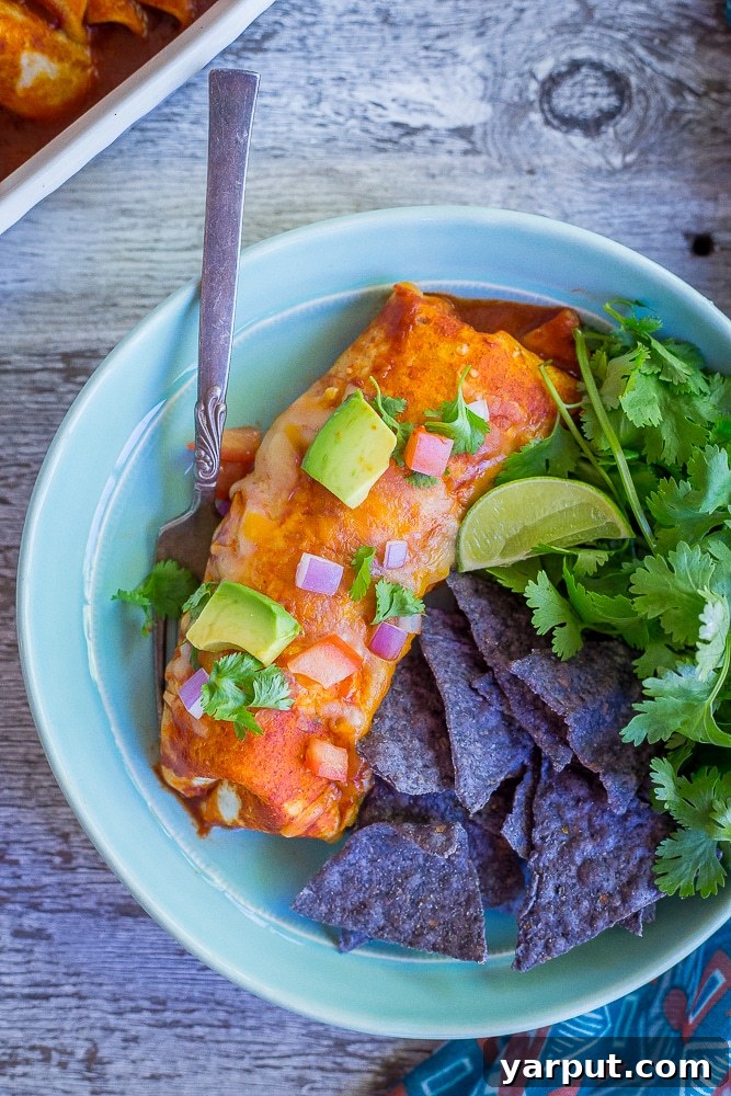 Baked Enchilada Style Veggie Burritos, a comforting and hearty vegetarian casserole, topped with melted cheese.