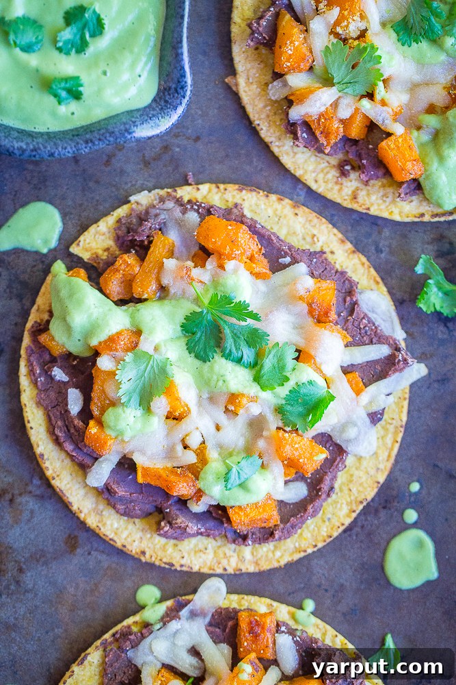 Roasted Butternut Squash Tostadas with Avocado Lime Sauce, a flavorful and vibrant vegetarian tostada, topped with fresh cilantro.