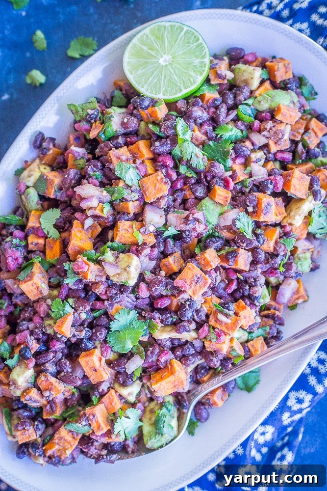 Roasted Sweet Potato Salad with Black Beans and Avocado, a colorful and nutritious side dish or light meal, garnished with cilantro.