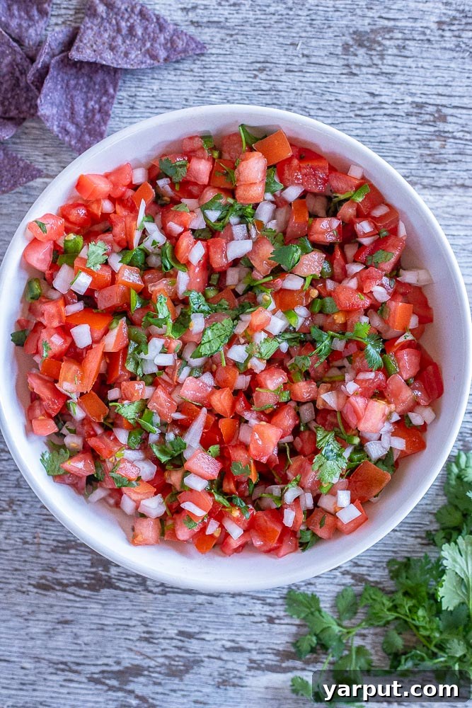 Homemade Pico de Gallo, a classic fresh salsa and essential condiment, with diced tomatoes, onions, and cilantro.