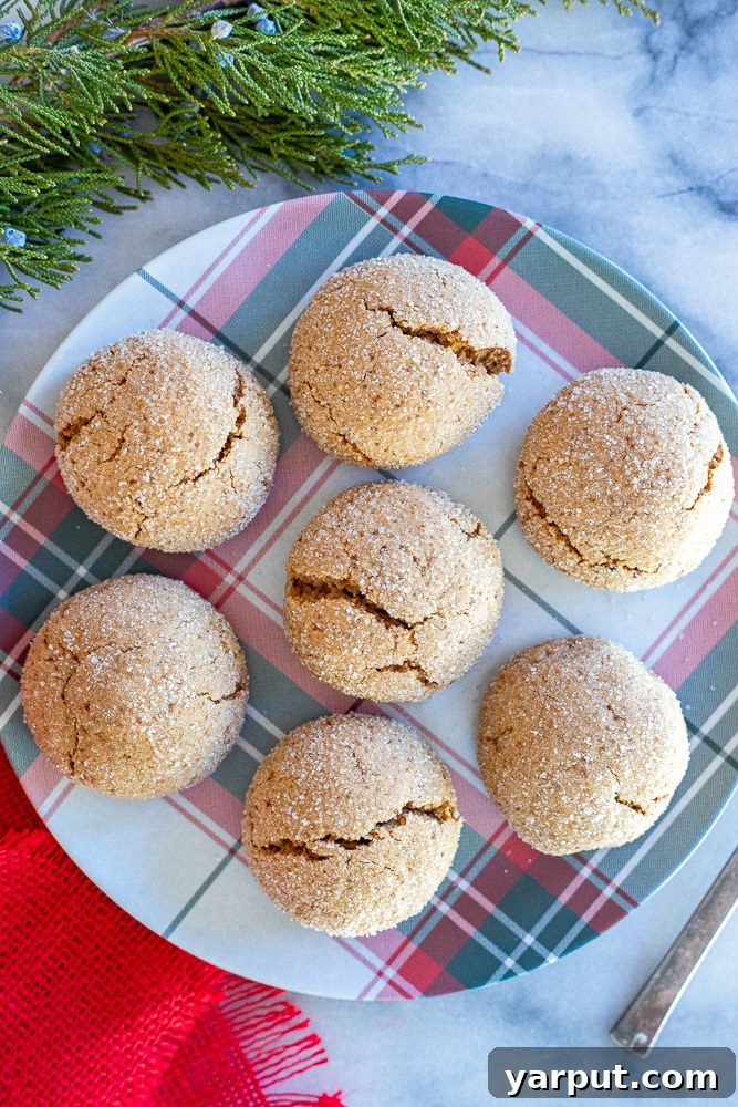 Hearty Maple Chews 5 A delightful arrangement of non-dairy chewy maple cookies presented on a festive Christmas plate, adorned with holiday greenery and a pinecone. The cookies have a lovely golden hue and a visibly soft, textured surface.