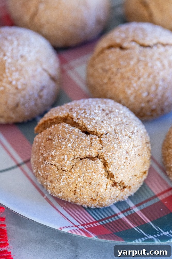 Hearty Maple Chews 6 A close-up of a perfectly round, golden-brown maple cookie with a visible sugar crust, showcasing its ideal texture and inviting appearance.