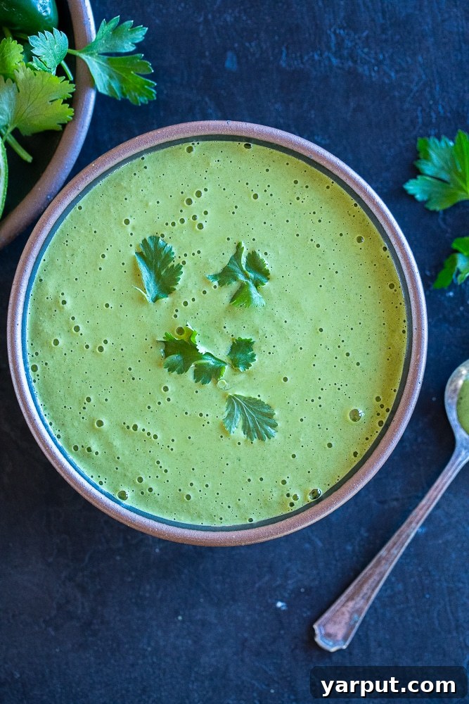 Vibrant Green Tahini Dressing 2 Lush green tahini sauce topped with fresh cilantro in a rustic bowl, ready to serve