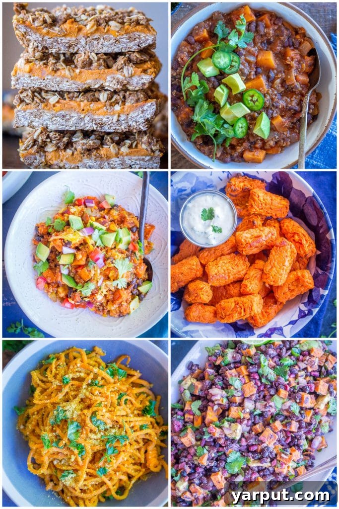 Plant-Powered Sloppy Joe Stuffed Sweet Potatoes 7 A collage of various vegan sweet potato recipes, showcasing different dishes like noodles, pies, and salads, enticing readers to explore more.