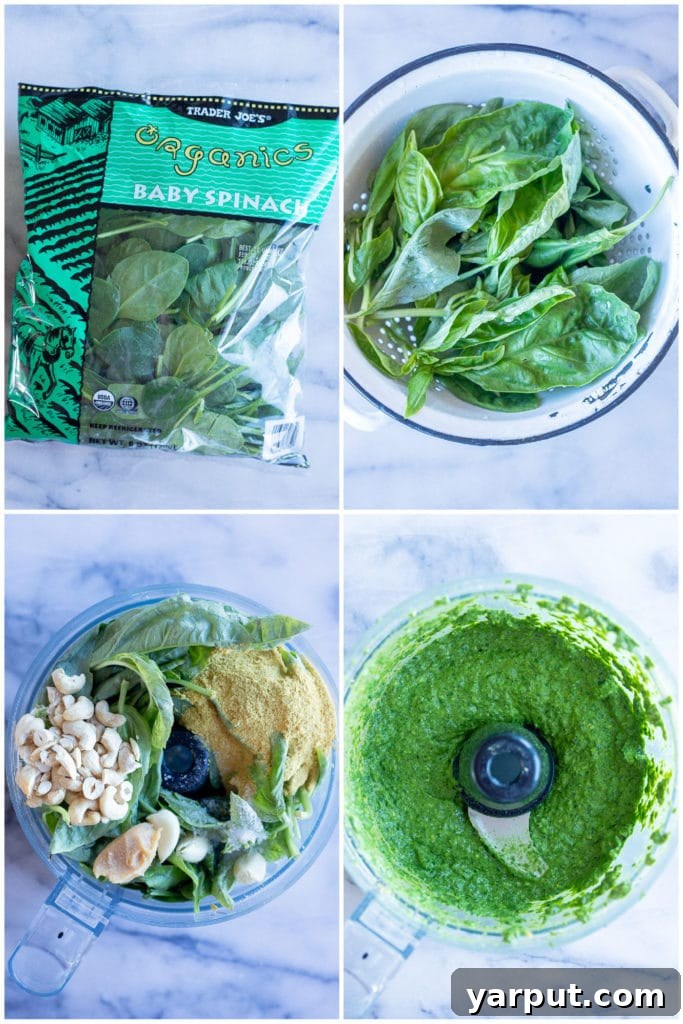 Effortless Vegan Pesto 4 step by step photos showing how to make the best vegan pesto using spinach and fresh basil