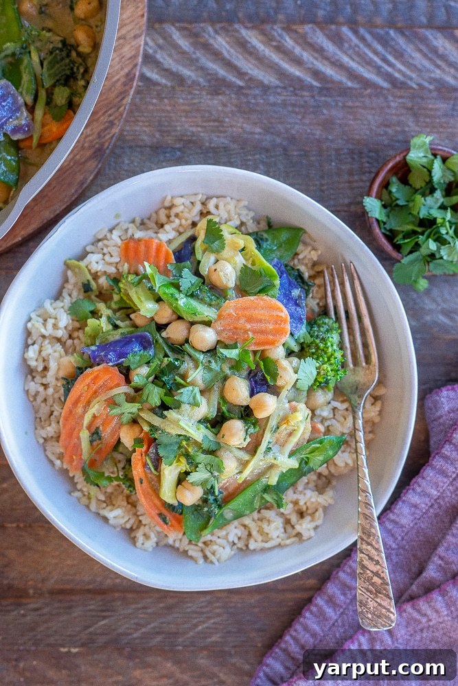 Hearty Chickpea and Vegetable Thai Green Curry 7 A beautifully composed flat lay of a prepared bowl of Thai green curry with chickpeas and rice, garnished with fresh cilantro, ready for a satisfying meal.