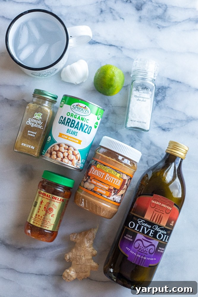 Creamy Peanut Hummus 3 All essential ingredients meticulously arranged for preparing the perfect Peanut Butter Hummus recipe.