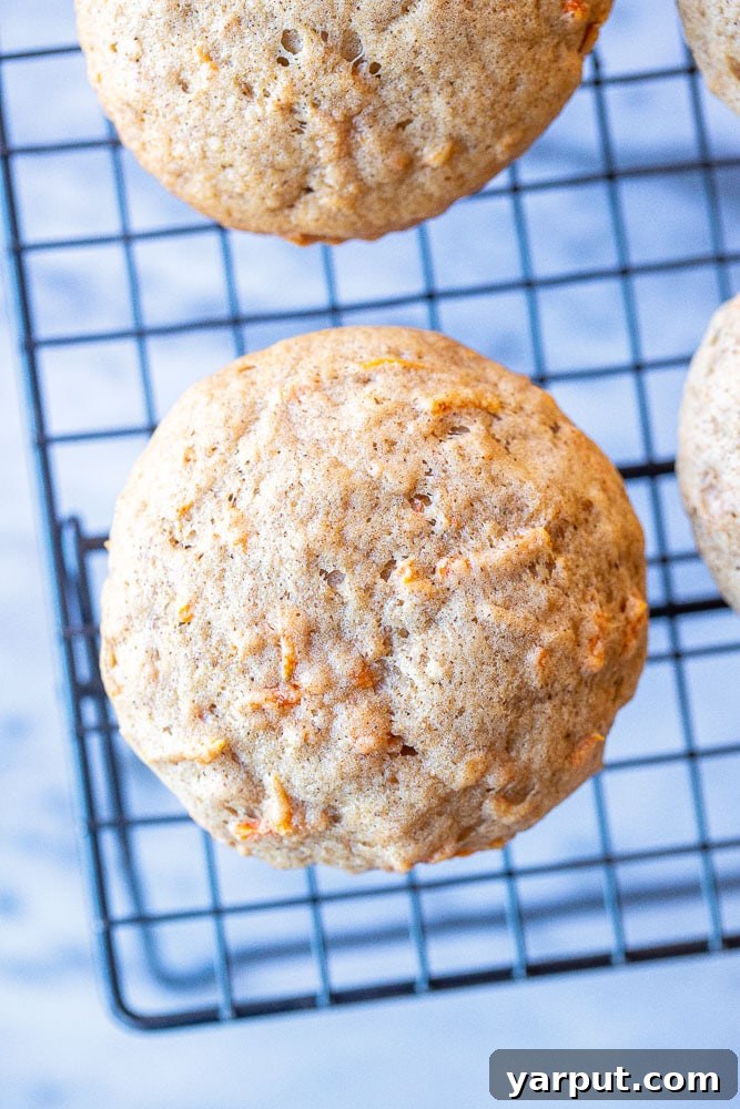 Moist Carrot Cake Muffins 5 A single carrot cake muffin cooling on a wire rack, showcasing its perfectly baked golden-brown top.