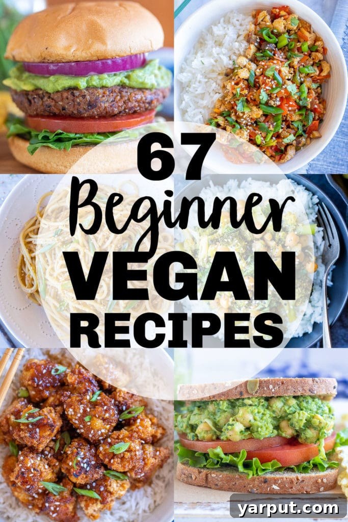 67 Beginner-Friendly Vegan Recipes 2 A colorful collage of six beginner-friendly vegan dishes, showcasing a variety of healthy and easy plant-based meals like tofu stir-fry, vibrant salads, and hearty bowls.