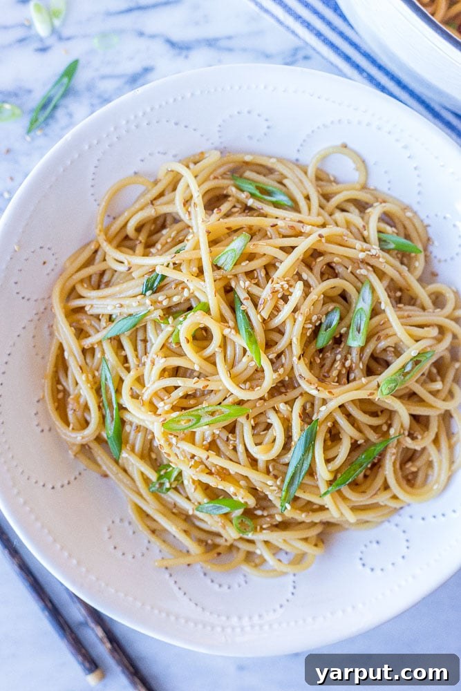 67 Beginner-Friendly Vegan Recipes 66 Delicious and easy sesame noodles, tossed in a savory peanut and sesame dressing, garnished with fresh scallions and sesame seeds.