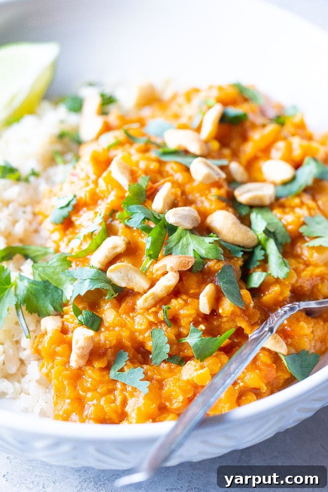67 Beginner-Friendly Vegan Recipes 52 A vibrant and aromatic easy red lentil curry, simmering in a rich tomato and coconut milk sauce, garnished with fresh cilantro.