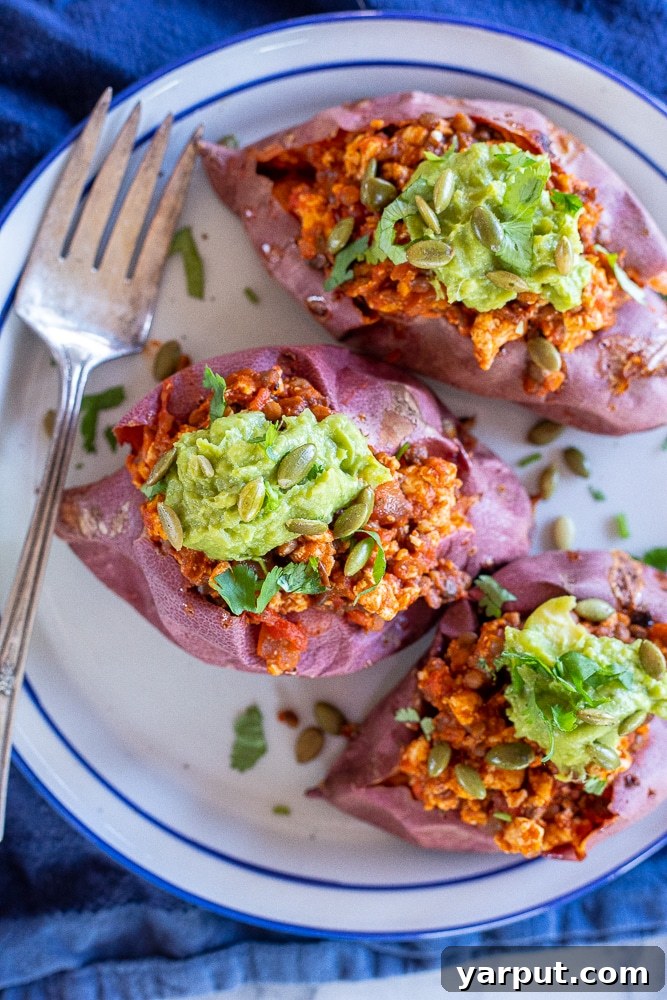 67 Beginner-Friendly Vegan Recipes 18 Warm and comforting sloppy joe stuffed sweet potatoes, overflowing with a rich vegan sloppy joe filling and garnished with fresh herbs.