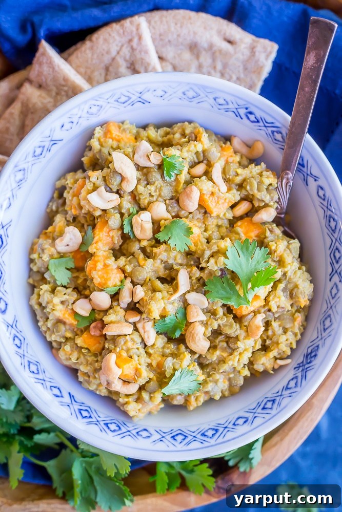 67 Beginner-Friendly Vegan Recipes 55 A hearty and aromatic one-pot coconut curry with tender lentils, sweet potatoes, and quinoa, creating a satisfying and easy vegan meal.