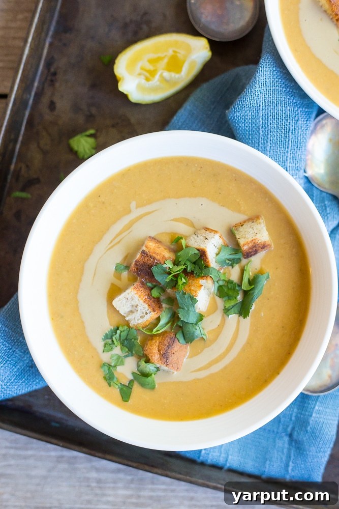 67 Beginner-Friendly Vegan Recipes 56 A wholesome and flavorful easy falafel soup, featuring tender chickpeas, fresh herbs, and crunchy tamari croutons for added texture.