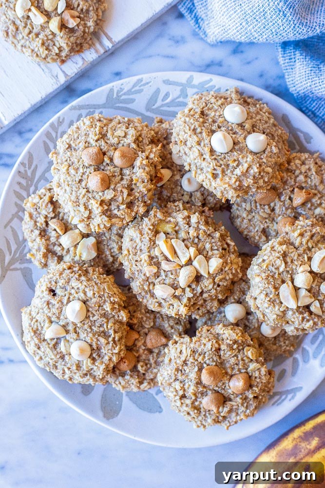 A variety of peanut butter banana cookies, some with chocolate chips, some with peanuts, on a white plate