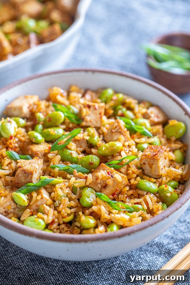 A close-up view of a perfectly plated bowl of spicy edamame stir fry with crispy tofu, ready to be enjoyed.