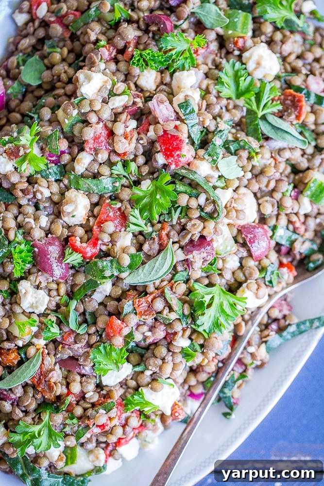 41 Vibrant Summer Salad Ideas 32 Mediterranean Lentil Salad, a healthy and satisfying meal.