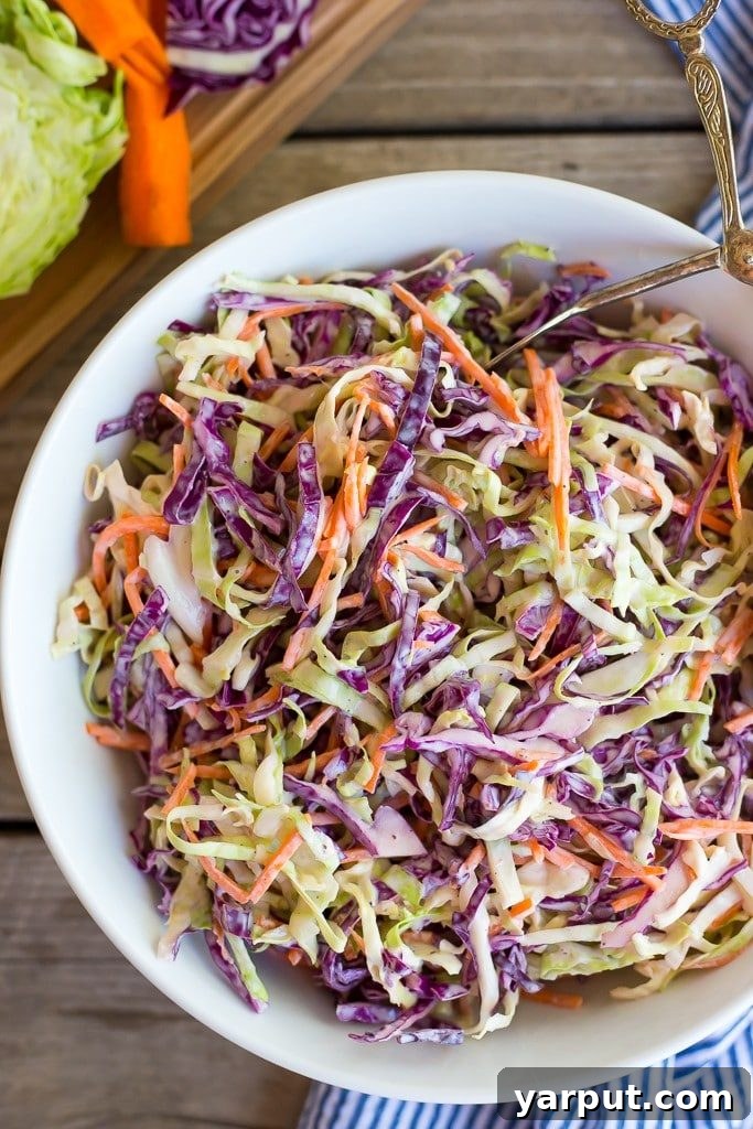 41 Vibrant Summer Salad Ideas 40 Creamy Greek Yogurt Coleslaw, a lighter, tangy version.
