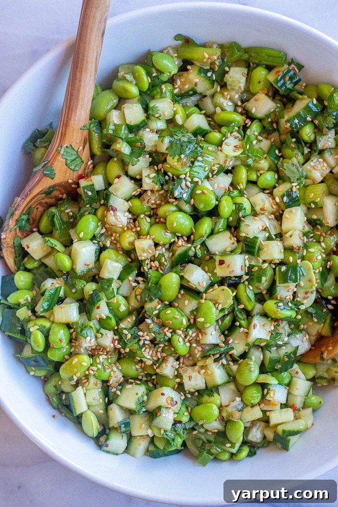 41 Vibrant Summer Salad Ideas 6 Refreshing Cucumber Edamame Salad, light and healthy.