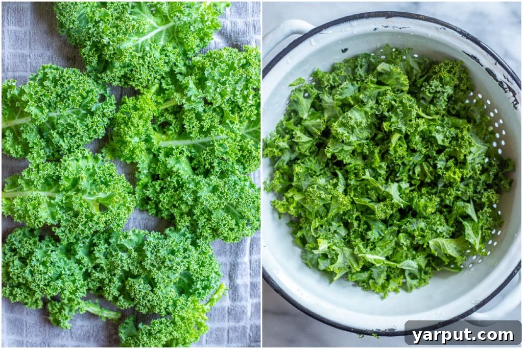 Hearty Chickpea & Kale Rice Bowl 3 Freshly cut kale leaves, ready to be added to a vibrant rice salad, showcasing their deep green color and healthy texture.