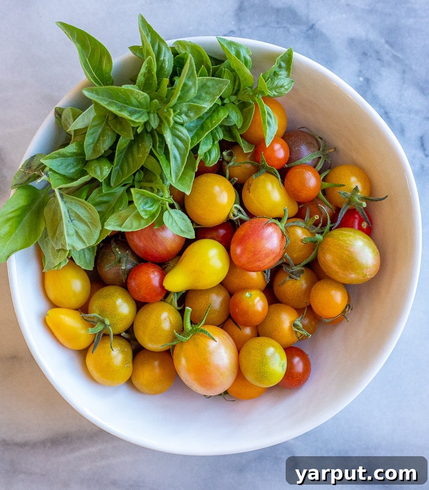 Zesty Bruschetta Hummus Toast 3 A bowl filled with fresh, colorful cherry tomatoes and fragrant green basil leaves, ready for making bruschetta.