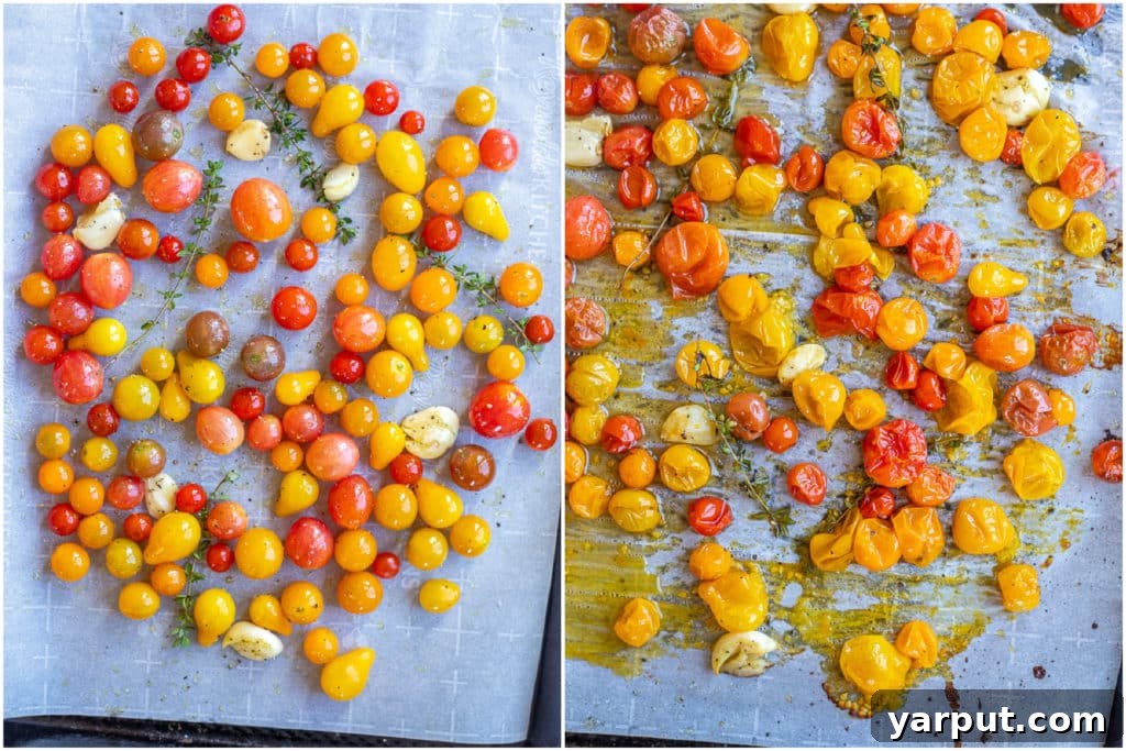 One Pan Pesto Orzo with Burst Cherry Tomatoes and Feta 3 Before and after comparison of fresh cherry tomatoes transforming into sweet, bursting roasted tomatoes on a baking sheet.