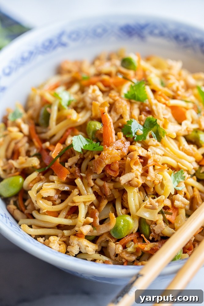 Wok-Kissed Noodles with Golden Tofu Crumbles 5 A close-up view of a bowl of stir-fry noodles, showcasing the crispy grated tofu mingled with colorful vegetables and savory sauce.