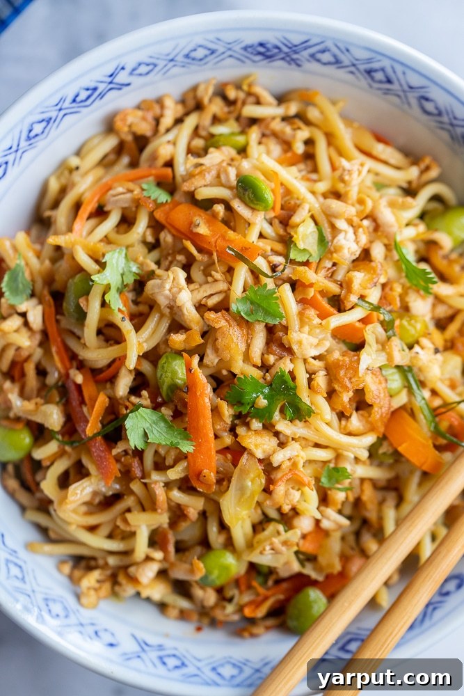 Wok-Kissed Noodles with Golden Tofu Crumbles 6 A vibrant close-up of a bowl of stir-fry noodles with perfectly cooked vegetables, ready to be enjoyed.