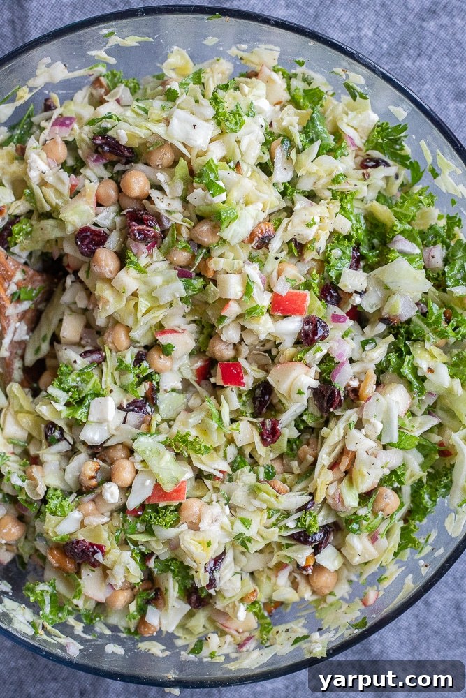 Vibrant Holiday Cabbage and Kale Medley 6 cabbage and kale salad mixed together in a bowl