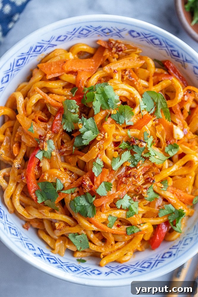 A serving of Coconut Red Thai Curry Noodles with colorful vegetables and sauce, freshly prepared in a bowl and garnished with cilantro.