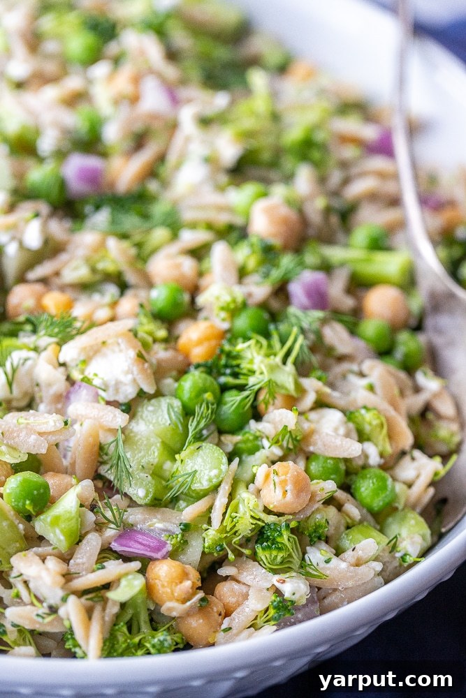 Bright Lemon Dill Orzo Broccoli Salad 5 Close-up shot of Lemon Dill Orzo Broccoli Salad, highlighting the texture of orzo, chickpeas, and fresh dill.