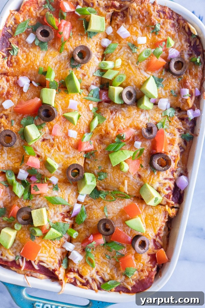 Affordable Plant-Based Feasts Week 13 4 A close-up of a vibrant vegetarian soft taco casserole, freshly baked and topped with melted cheese, with a dollop of sour cream and fresh cilantro.