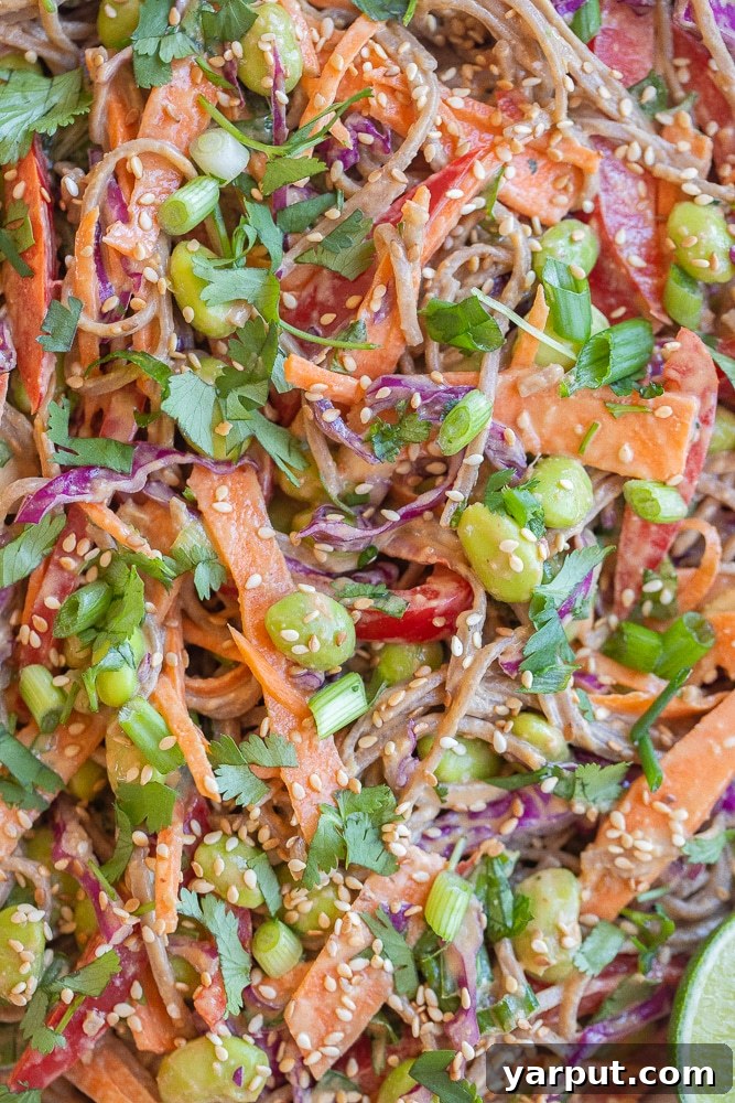 Peanut Soba Noodle Power Bowl 6 Close up of spicy peanut soba noodle salad with an abundance of colorful vegetables
