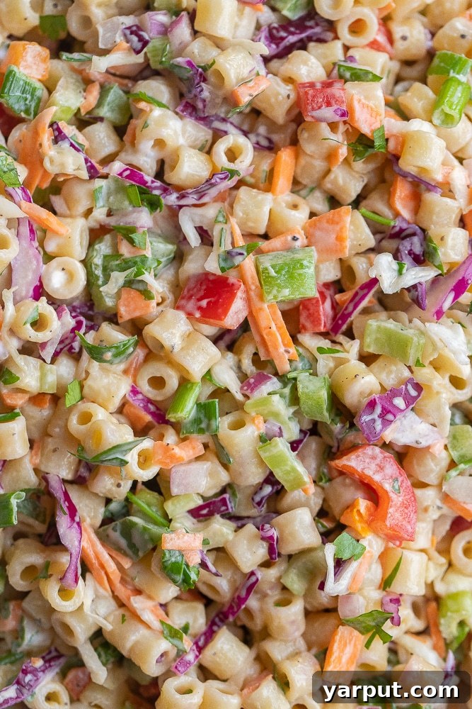 close up photo of macaroni coleslaw salad recipe, garnished and ready to eat