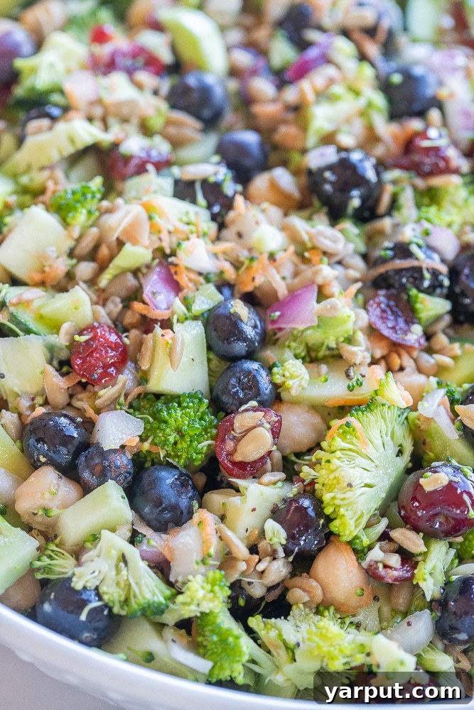 Vibrant Broccoli Blueberry Chickpea Medley 6 Close up of Broccoli Blueberry Salad with Chickpeas in a bowl