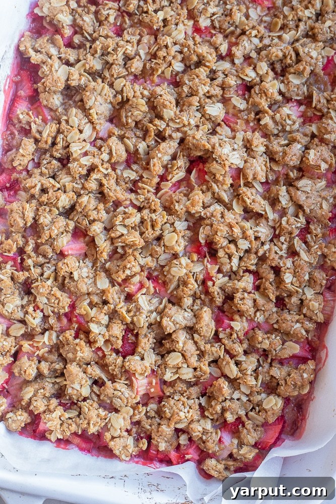 Strawberry Rhubarb Oatmeal Crumb Bars 5 strawberry rhubarb breakfast bars out of the oven
