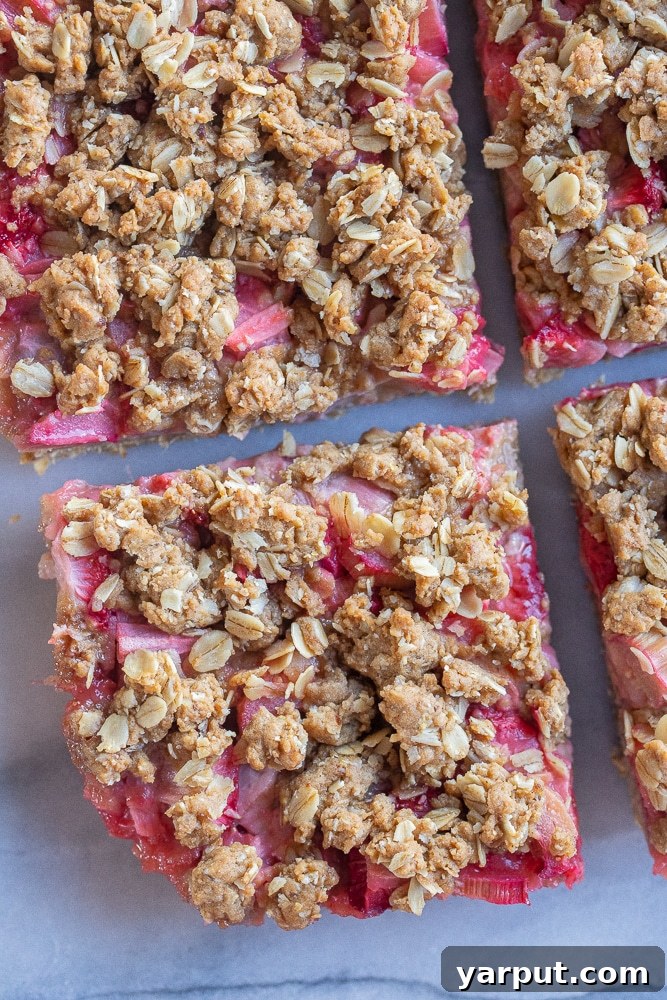 Strawberry Rhubarb Oatmeal Crumb Bars 6 close up of a slice of strawberry rhubarb crumble bars