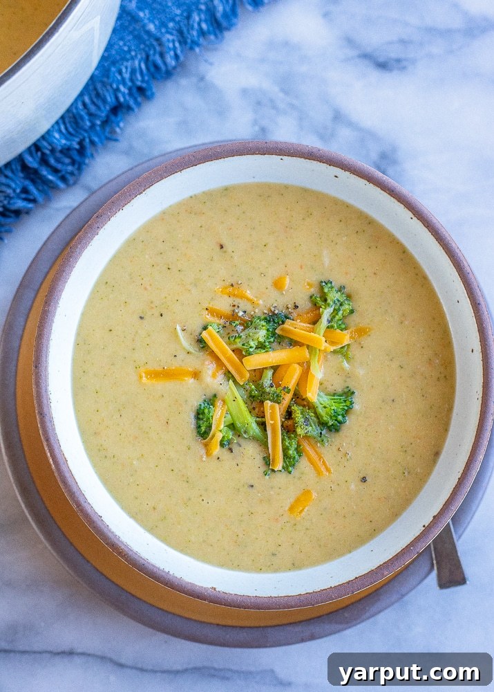 41 Flavorful Soy-Free Vegetarian Meals for Lunch and Dinner 23 Rich and creamy veggie-packed broccoli cheddar soup