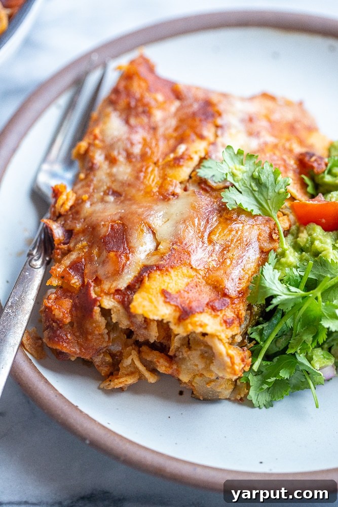 41 Flavorful Soy-Free Vegetarian Meals for Lunch and Dinner 25 Baked cheesy zucchini enchiladas
