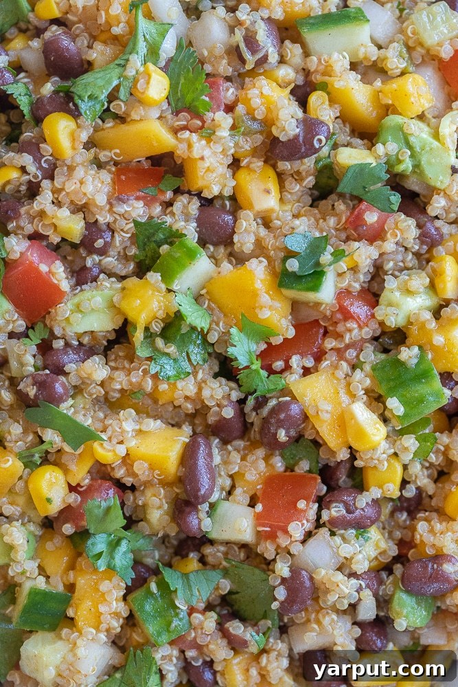 Fiesta Mango Black Bean Quinoa Salad 4 Close-up shot of the vibrant Mango Black Bean Quinoa Salad, garnished with fresh cilantro for a final flourish.