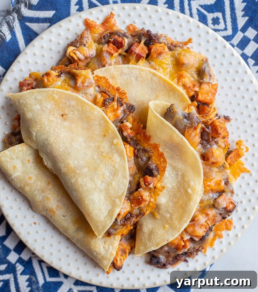 A beautifully plated dish of crispy baked sweet potato and black bean tacos, garnished with fresh cilantro, ready to be served.