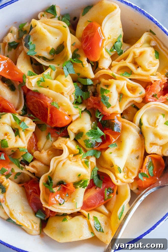 Easy 20-Minute Cheesy Tortellini with Tomatoes & Parsley 5 A close-up shot of individual cheese tortellini pieces nestled among vibrant red tomatoes and green parsley in a bowl, highlighting the dish's appealing textures and colors.