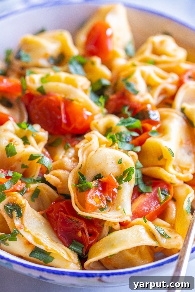 Easy 20-Minute Cheesy Tortellini with Tomatoes & Parsley 6 Another close-up of the finished 20-minute cheese tortellini dish, showcasing the plump tortellini, glistening tomatoes, and flecks of garlic and parsley.