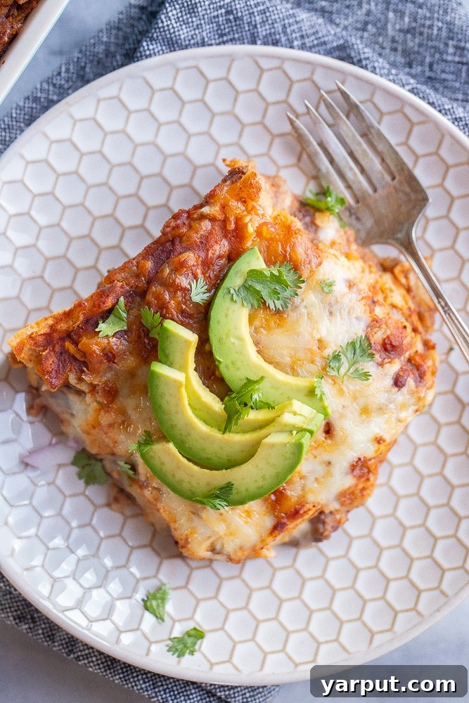 Hearty Bean and Cheese Enchilada Bake 5 A perfectly portioned slice of Bean and Cheese Enchilada Casserole on a white plate, showcasing the distinct layers of tortillas, beans, and melted cheese.