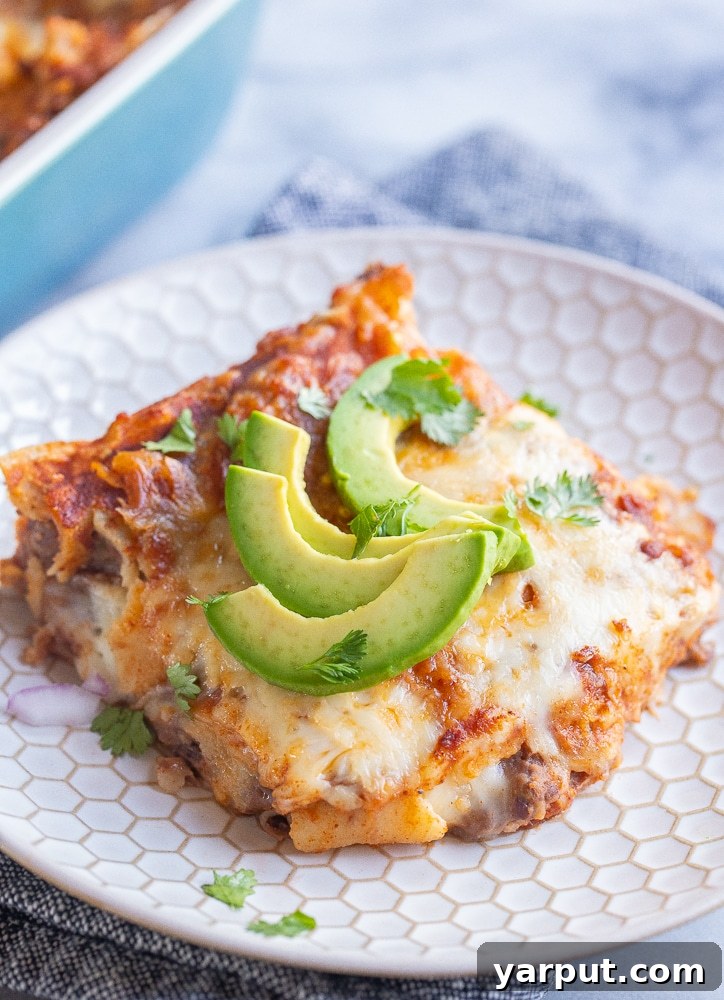 Hearty Bean and Cheese Enchilada Bake 6 A vibrant slice of cheese enchilada casserole served on a plate for dinner, beautifully garnished with fresh avocado slices and a sprinkle of cilantro.