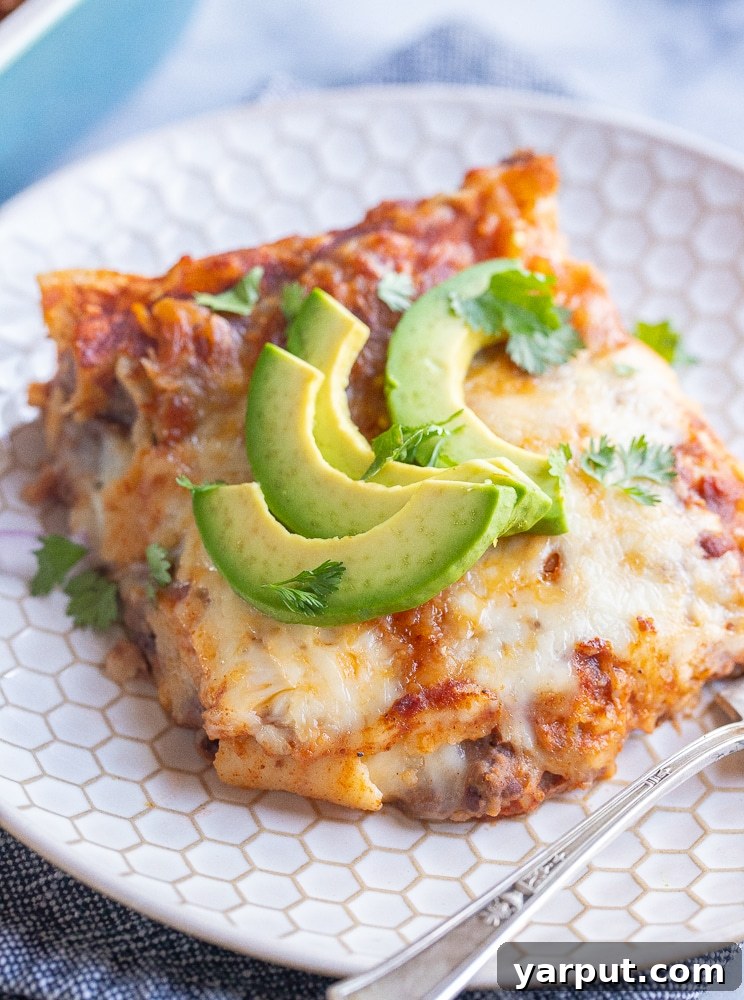 Week 25: Budget-Smart Vegetarian Meal Plan 6 A bubbling hot bean and cheese enchilada casserole, fresh out of the oven, topped with cilantro.