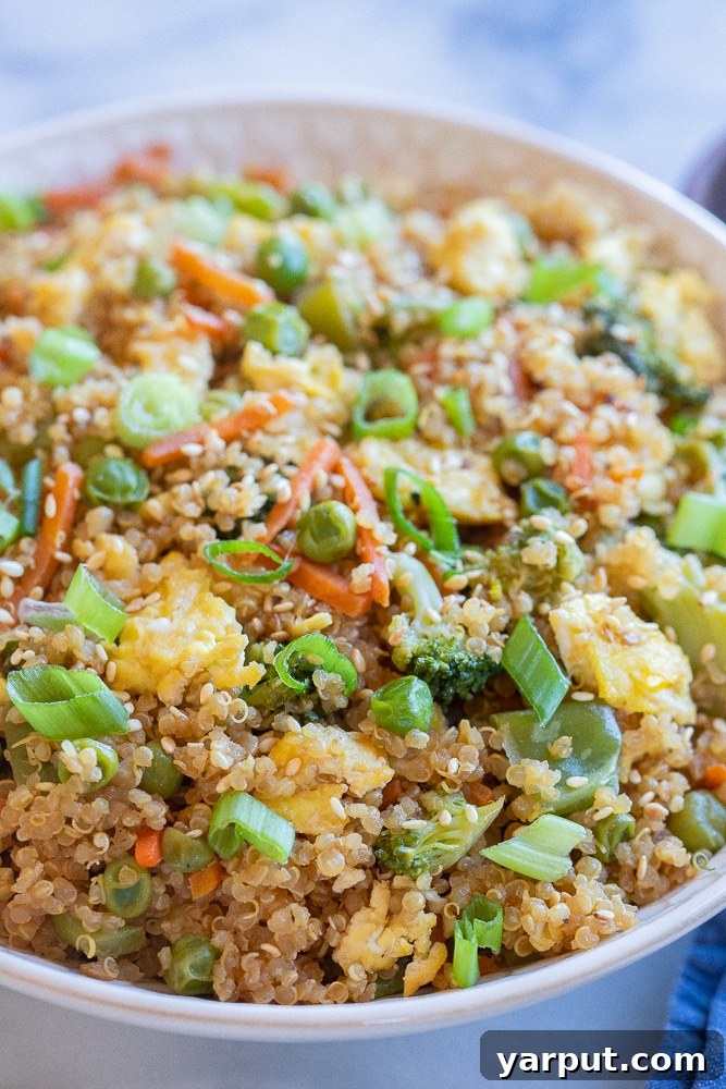 Your New Go-To Quinoa Fried Rice 5 Close-up shot of a bowl of Quinoa Fried Rice, showing its rich textures and colors.