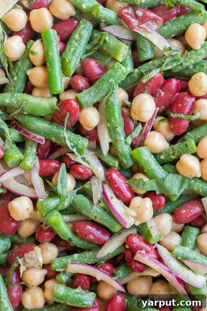 Vibrant Bean Trio with Zesty Basil Dressing 5 Close-up detailed photo of the finished Three-Bean Salad with Basil Vinaigrette, showcasing the vibrant green beans, deep red kidney beans, light garbanzo beans, and thinly sliced red onion, all coated in the herby green dressing. Fresh basil leaves are scattered throughout for garnish and enhanced flavor.