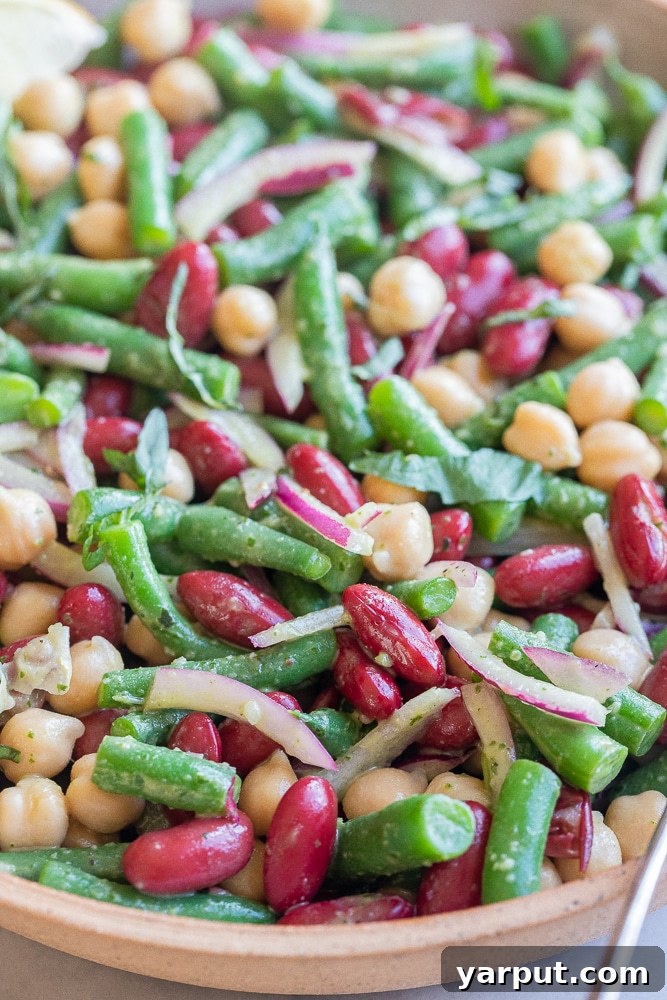 Vibrant Bean Trio with Zesty Basil Dressing 6 Close-up of a serving bowl filled with Three-Bean Salad, highlighting the varied textures and colors of the blanched green beans, dark red kidney beans, garbanzo beans, and slivers of red onion, all glistening with the herbaceous basil vinaigrette.